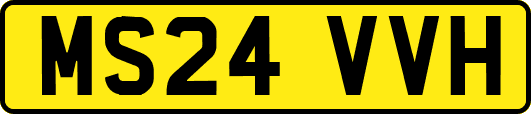 MS24VVH
