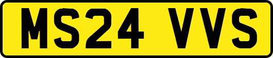 MS24VVS