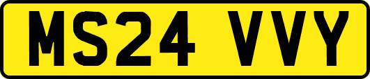MS24VVY