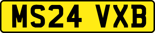 MS24VXB