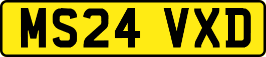 MS24VXD