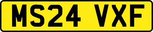 MS24VXF