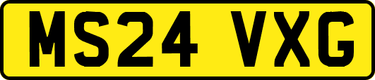 MS24VXG