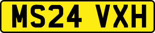 MS24VXH