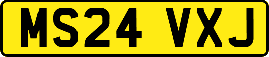 MS24VXJ