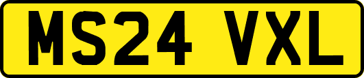MS24VXL