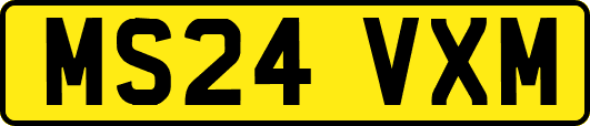 MS24VXM