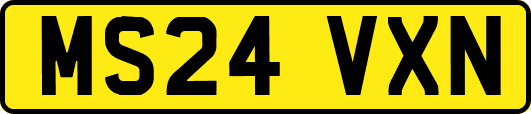 MS24VXN