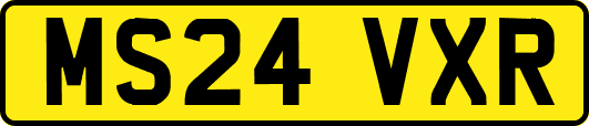 MS24VXR