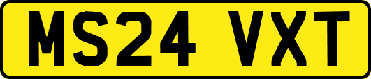 MS24VXT