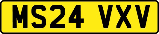 MS24VXV