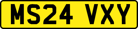 MS24VXY