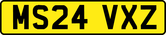 MS24VXZ