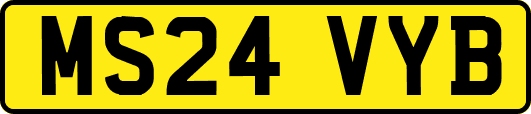MS24VYB