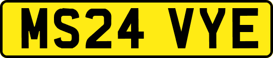 MS24VYE