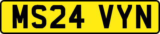 MS24VYN
