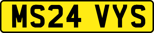 MS24VYS