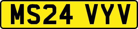 MS24VYV