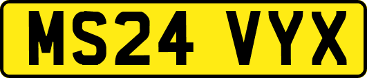 MS24VYX