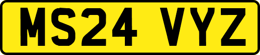 MS24VYZ