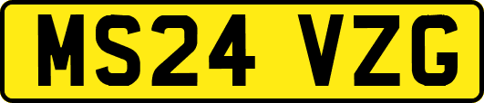 MS24VZG