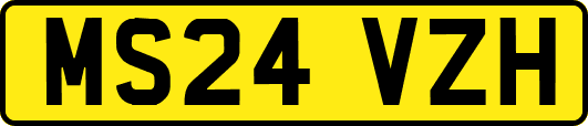MS24VZH
