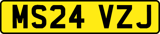 MS24VZJ