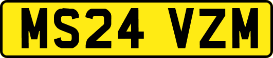 MS24VZM