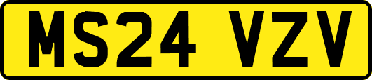 MS24VZV