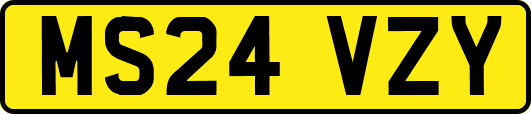 MS24VZY