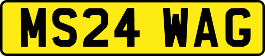 MS24WAG
