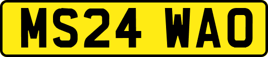 MS24WAO