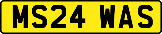 MS24WAS