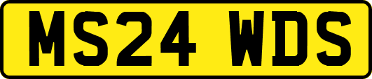 MS24WDS