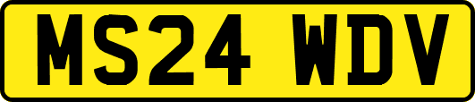 MS24WDV