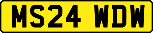 MS24WDW