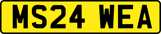MS24WEA
