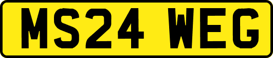 MS24WEG