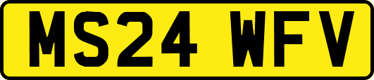 MS24WFV