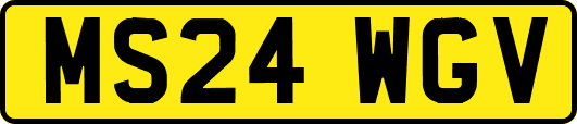 MS24WGV