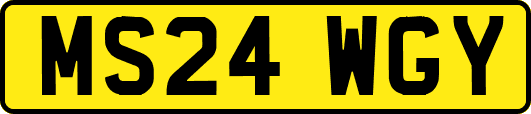 MS24WGY