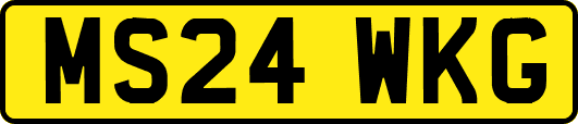 MS24WKG