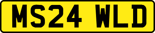 MS24WLD