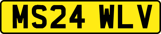 MS24WLV