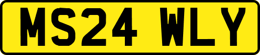 MS24WLY