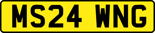 MS24WNG