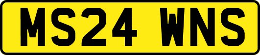 MS24WNS