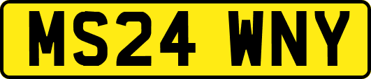 MS24WNY