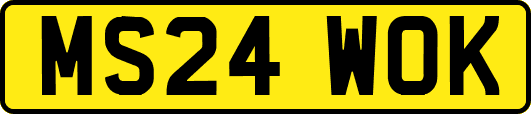 MS24WOK