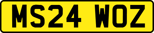 MS24WOZ